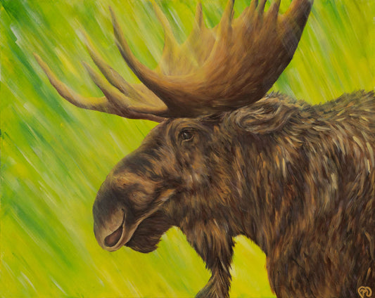 Painting of a profile of a bull moose surrounded by pine and olive-green sunbeams flowing through the scene.